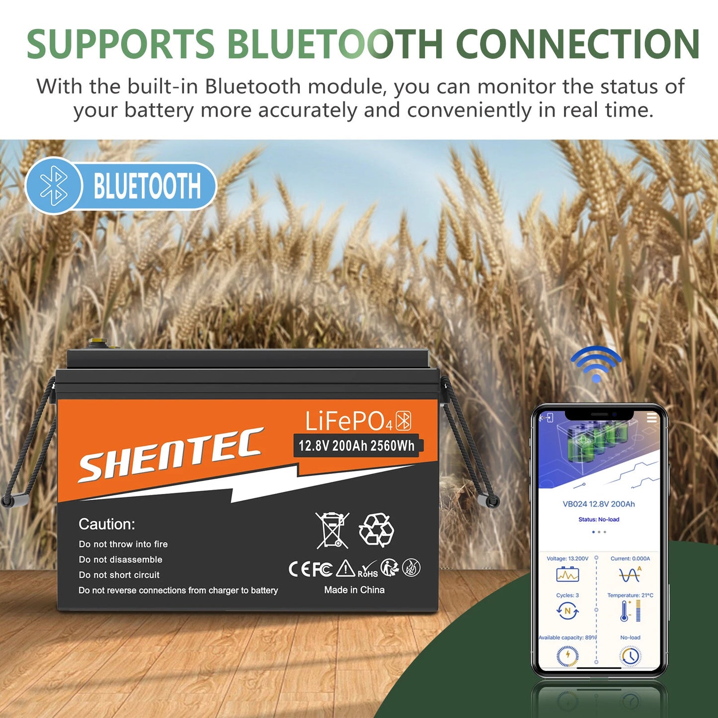 SHENTEC 12V 200Ah Batería de Litio LiFePO4 para Barco Camper 6000+ Ciclos