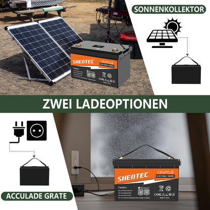 SHENTEC Batería LiFePO4 12/24V 100/150/200/300Ah con BMS para barco solar, sistema aislado y autocaravana