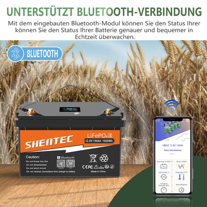 SHENTEC Batería LiFePO4 12/24V 100/150/200/300Ah con BMS para barco solar, sistema aislado y autocaravana