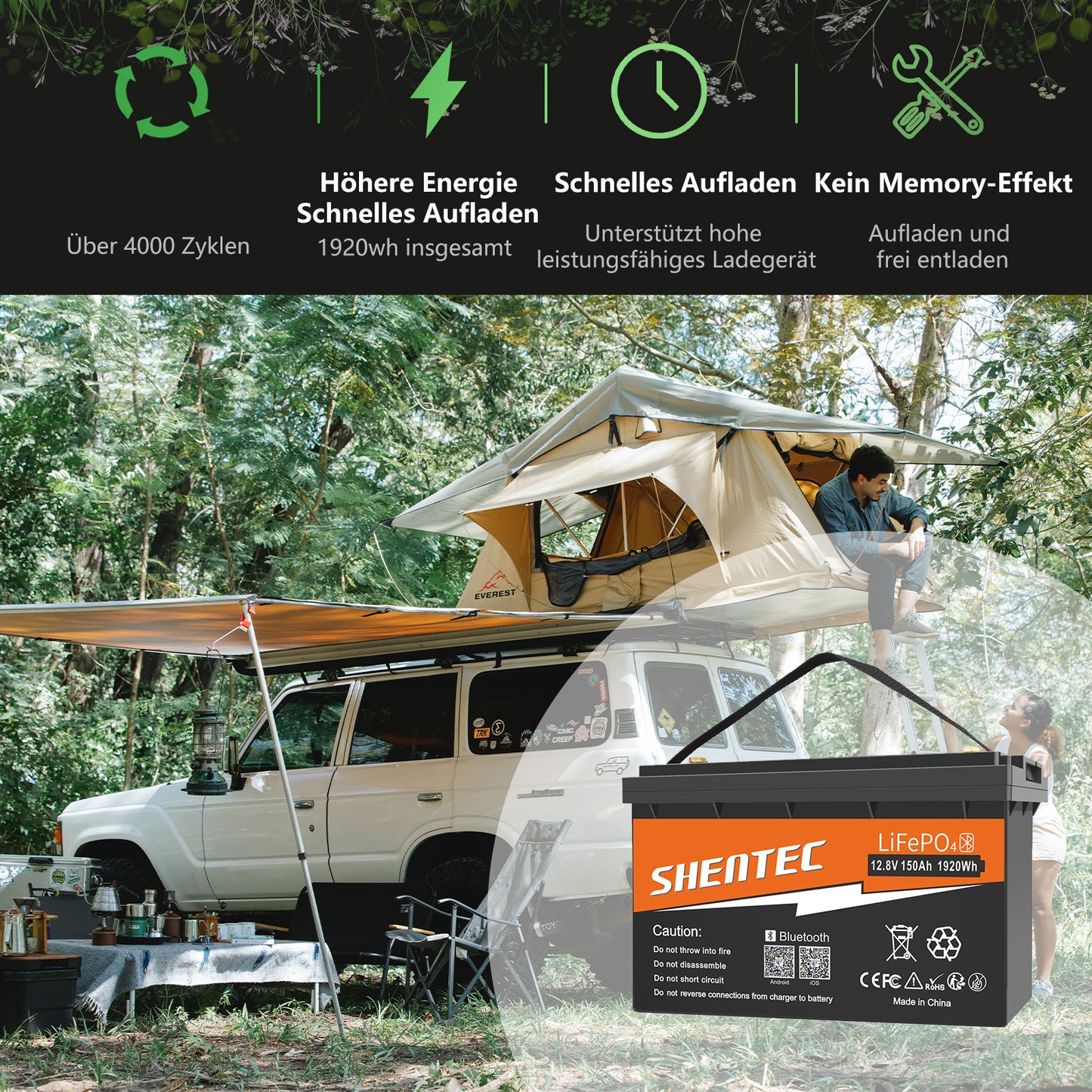 SHENTEC Batería LiFePO4 12/24V 100/150/200/300Ah con BMS para barco solar, sistema aislado y autocaravana